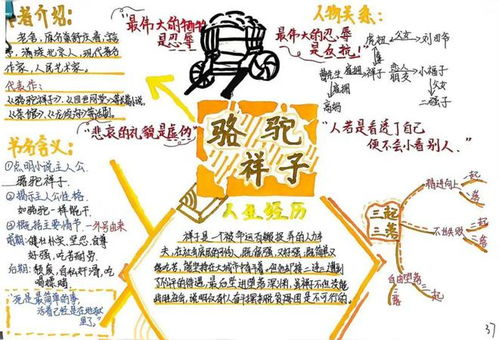 2025年属羊一生桃花劫是谁|探索新兴趋势与生活智慧_旗舰版IOS.2.600